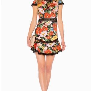 Alice + Olivia Rapunzel Fit and Flare Dress